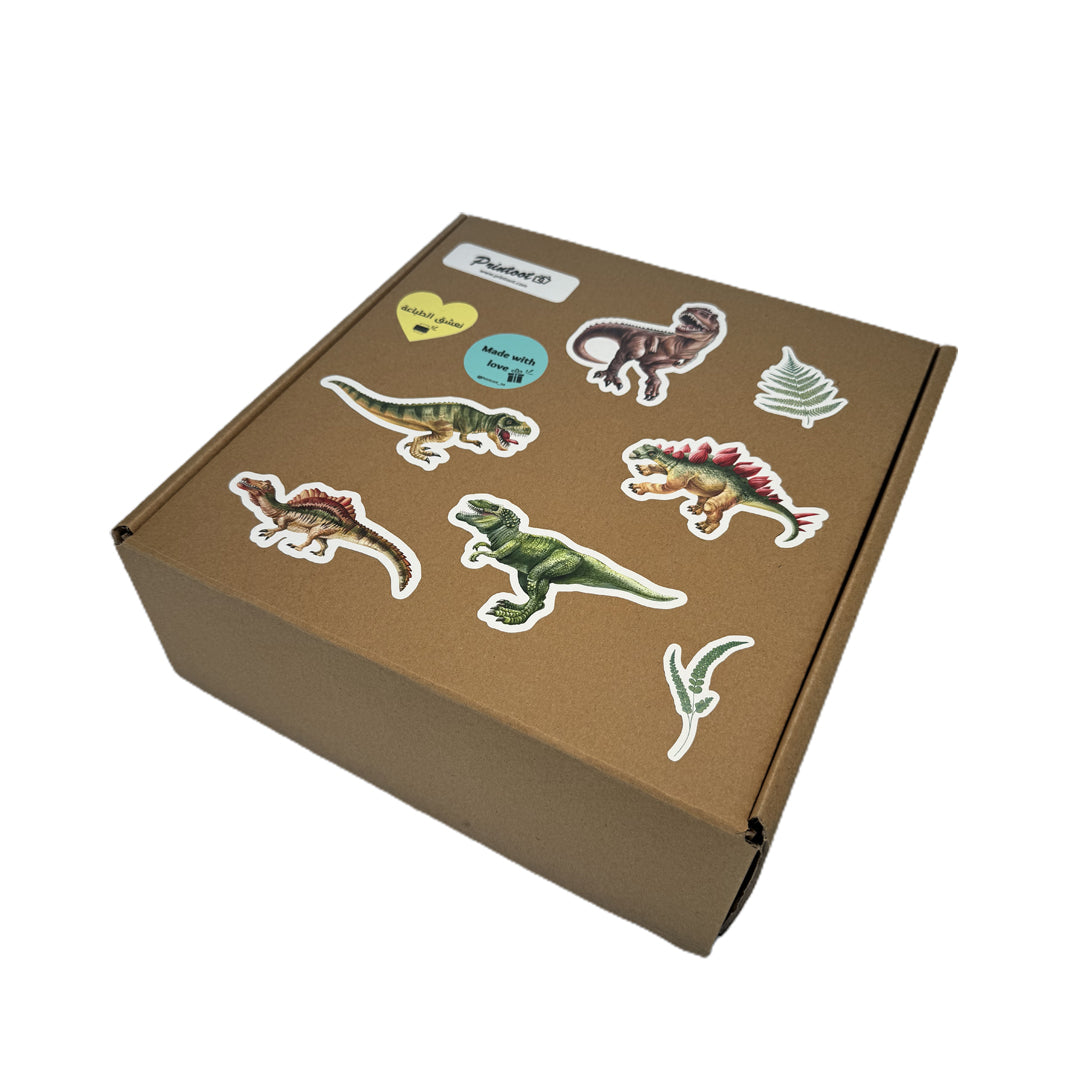 Dinosaur box for boys 