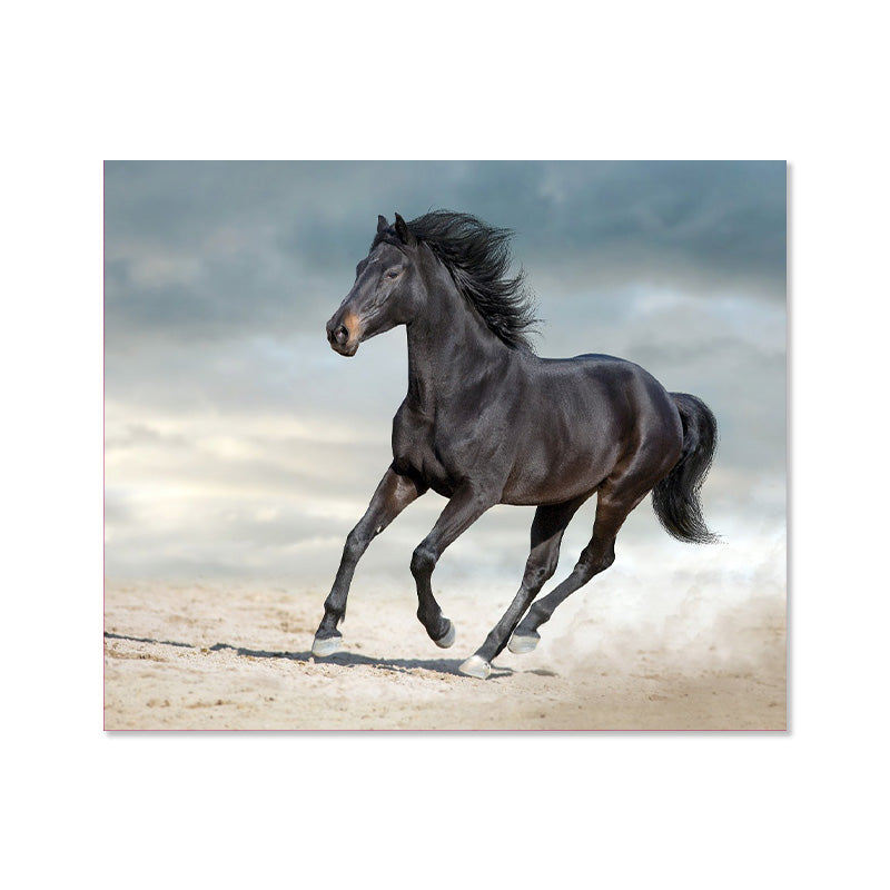 لوحه black-horse